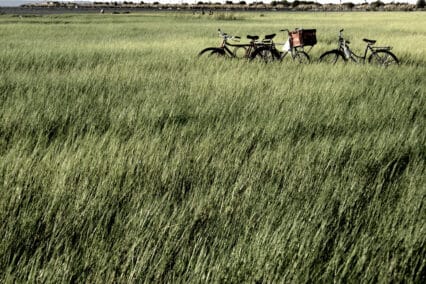 Foto: Eliel Freitas Jr - Lic. Creative Commons