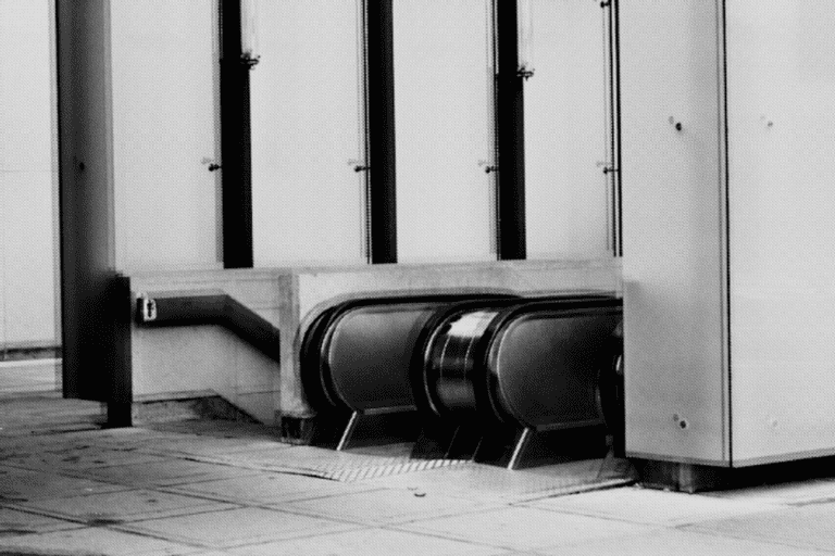 Foto: Lynn Delbeecke iov. Socius